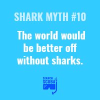 Top 10 Myths About Sharks Every Diver Should Know - Blog