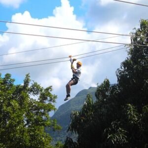 Rainforest Zipline Park