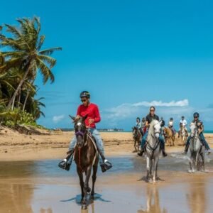 Horseback Ride at Carabali­