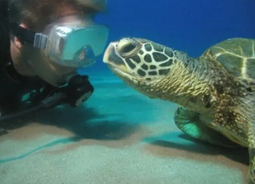 In-2-Scuba-2