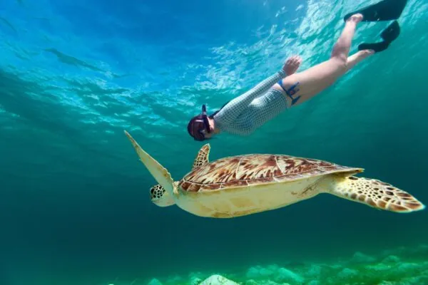 Private Snorkel & Dive Charter