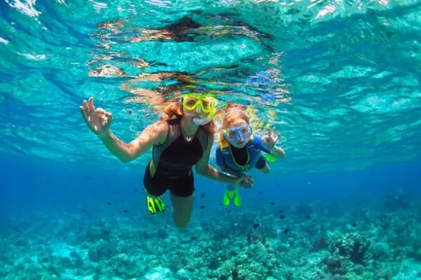 Private Snorkel & Dive Charter